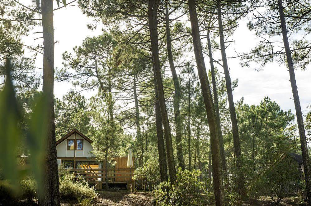 Hotel Vtf Les Oyats Sylvadoures Maubuisson Exterior foto